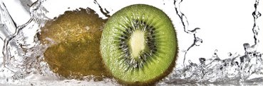 Dekorbild-Kiwi_2